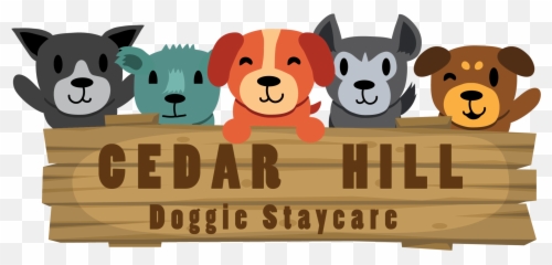 Cedar Hill Doggie Staycare Emoji,Lifetime Emotion Angler 9514 11'