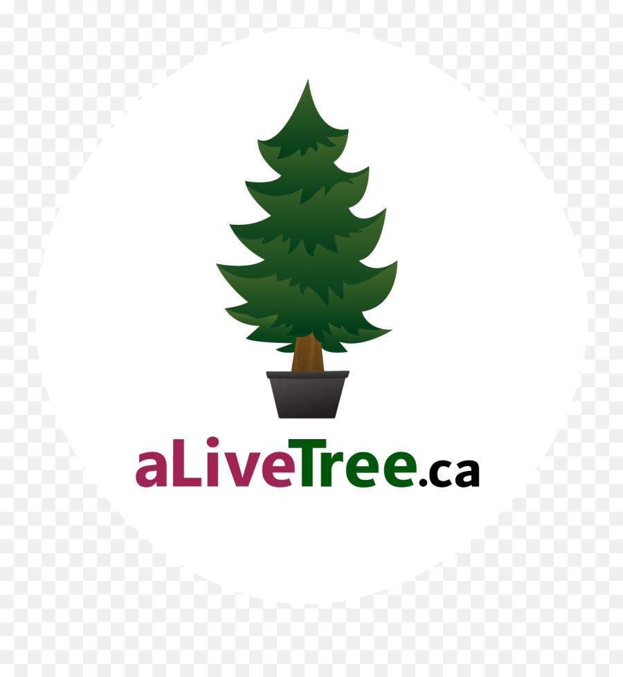 Alivetree - Live Christmas Tree Rentals Free Delivery Emoji,Bruning Christmas Tree Emoji