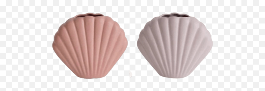 Products Emoji,Sea Shell Emoji