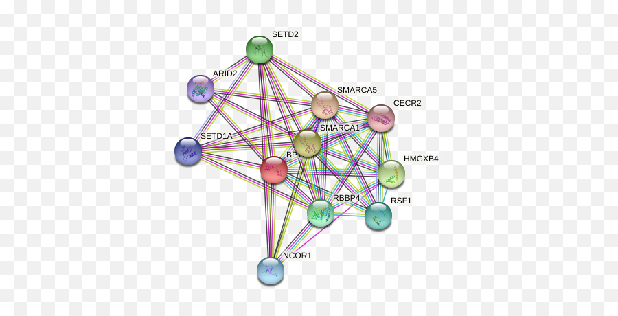 Bptf Protein Human - String Interaction Network Dot Emoji,Emotion Sensing Cat Ears