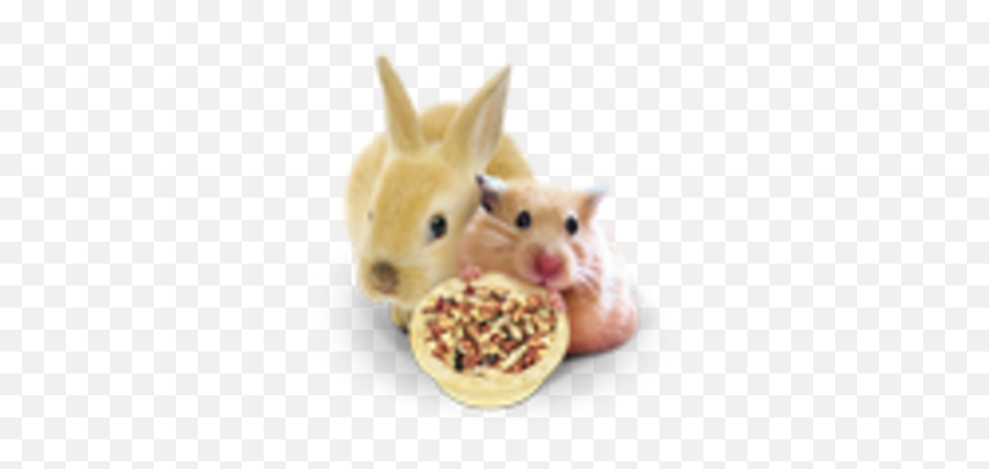 Small Animal Food Emoji,Vitacraft Emotion