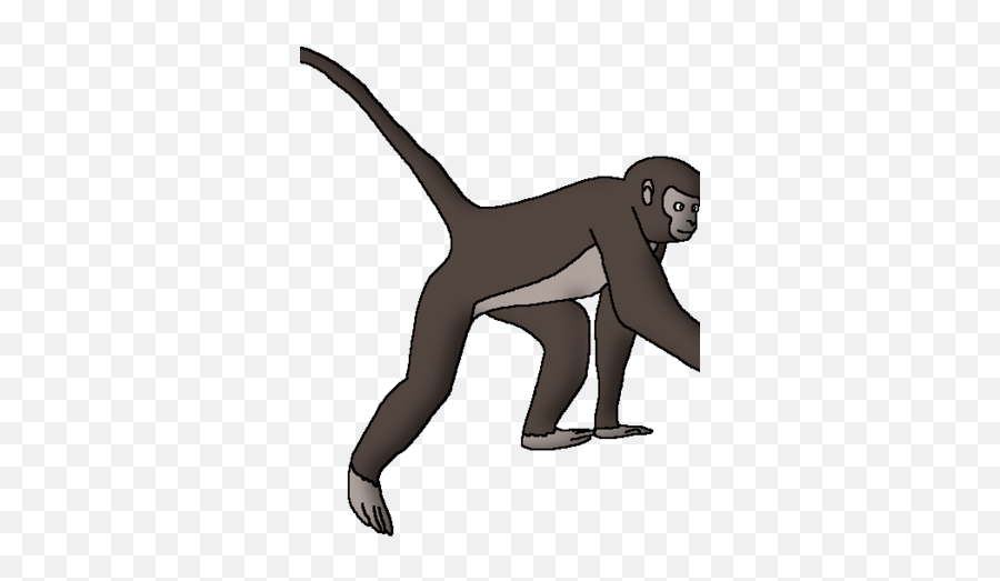 Geoffroys Spider Monkey - Spider Monkey Emoji,Emotion Pets Monkey