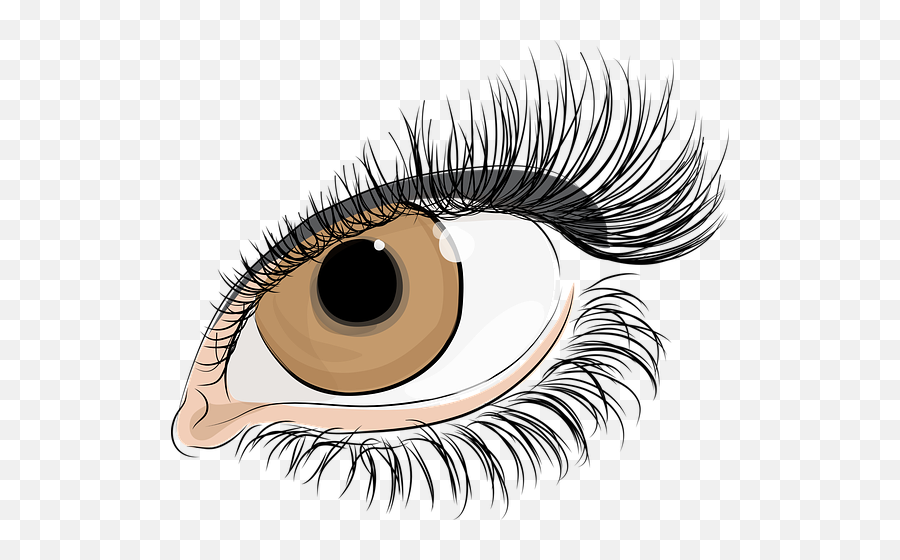 1000 Free Eyes U0026 Cat Vectors - Pixabay Transparent Women Eye Png Emoji,Brown Eye Emoji
