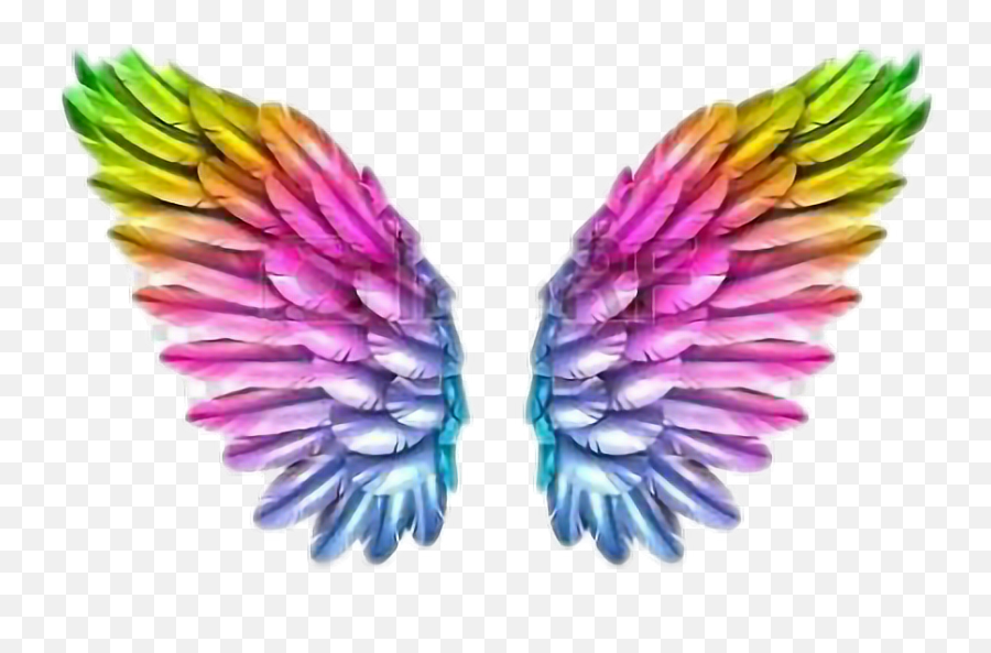 Anjos A Soltaasas De Arco Íris Sticker By Eduarda - Angel Wings Emoji,Emoji De Arco
