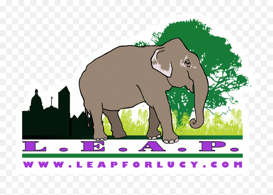 Faq - Edmonton Advocates Project Leap Emoji,Elephant Touching Dead Elephant Emotion