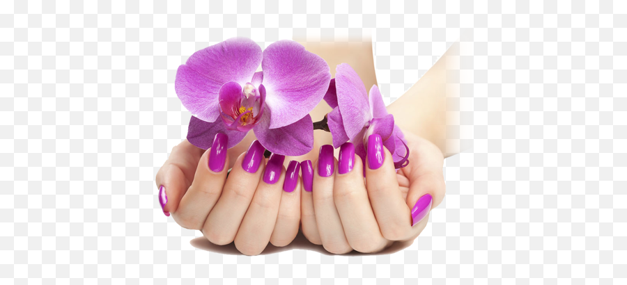 Nails Manicure Png Image - Orchid With Nails Emoji,Red Fingernails Emoji
