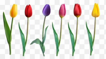 3 - Wedding Thank You For Your Presence And Blessings Emoji,Loun Emoji Face Image