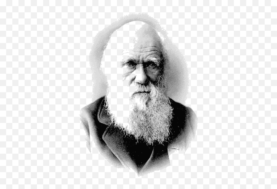 Synanthropia - Charles Darwin Darwin Png Emoji,Charles Darwin Emotion Quote