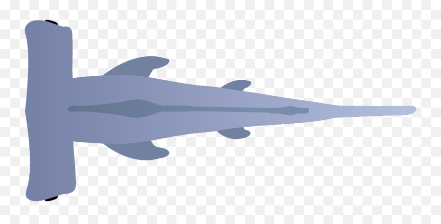 Manta Ray Transparent Png Image - Fish Emoji,Emoji Tiger And Shrimp