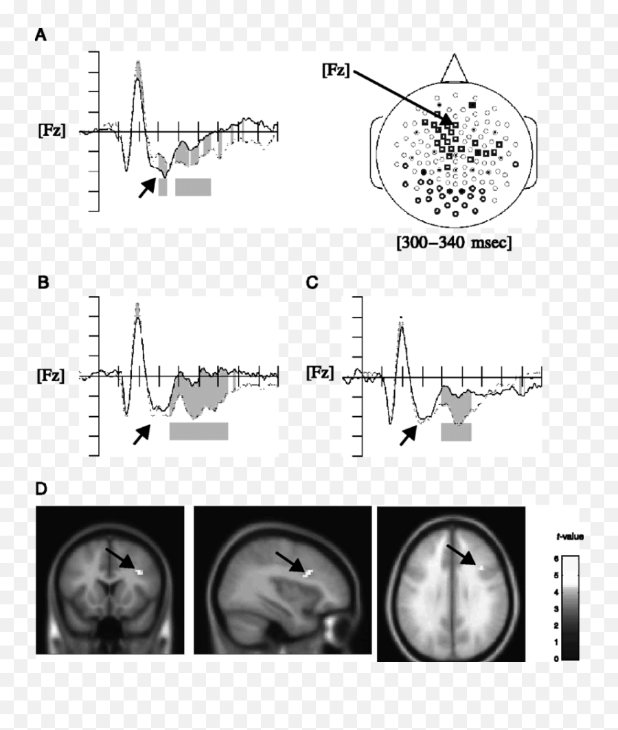 Frontal N2 And Lateral Pfc Activations In Wait Versus Go Emoji,Simple Emotion Perception Task Fmri Task Scheme