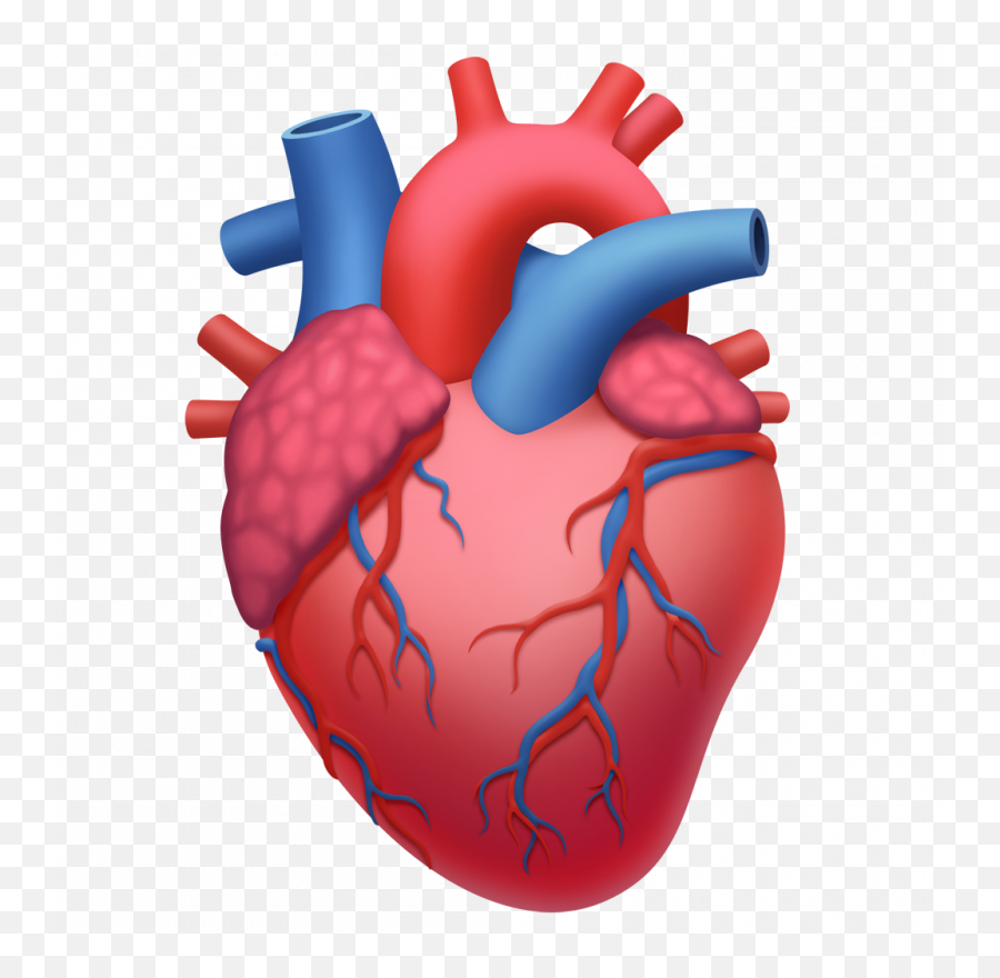 One - Anatomical Heart Emoji Apple,New Emojis
