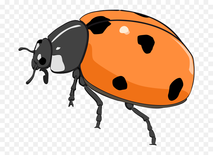 Free Orange Bug Cliparts Download Free - Cute Beetle Clipart Emoji,Sleep Ant Ladybug Ant Emoji