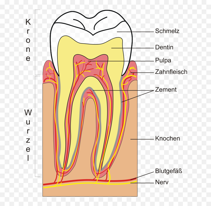 Canadaslim U2013 Page 3 U2013 Chronicles Of Canada Slim - Teeth Schematic Emoji,Tesla Song And Emotion