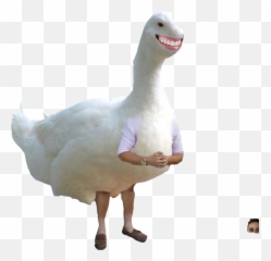 Cursed Blursed Goose Sticker - Animal Figure Emoji,Goose Emoji