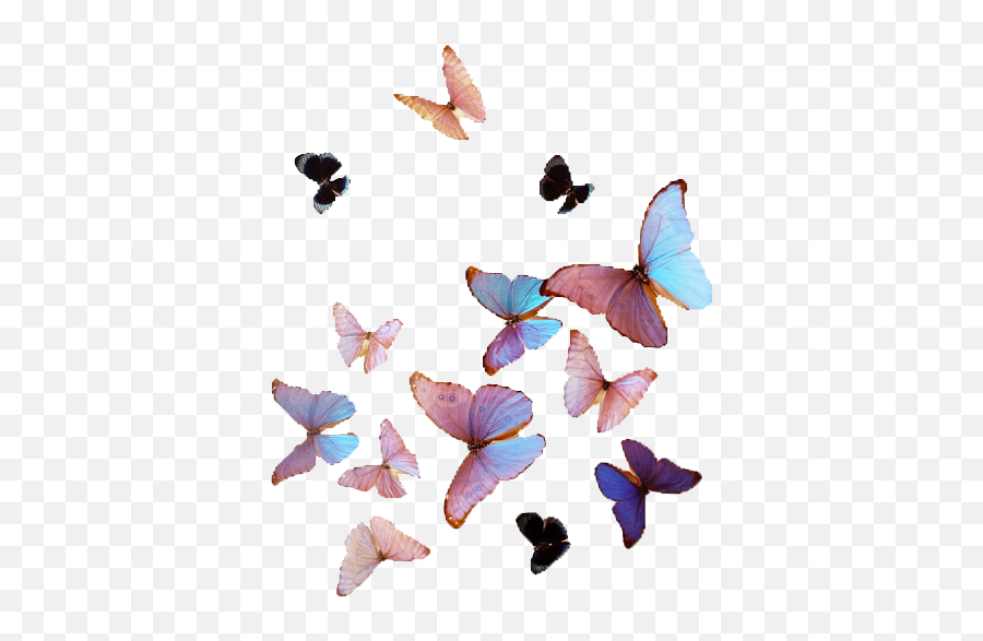 Aesthetic Tumblr Blue Butterfly Emoji Wallpaper - Allwallpaper Butterfly Png,Emoticon Blue Butterfly
