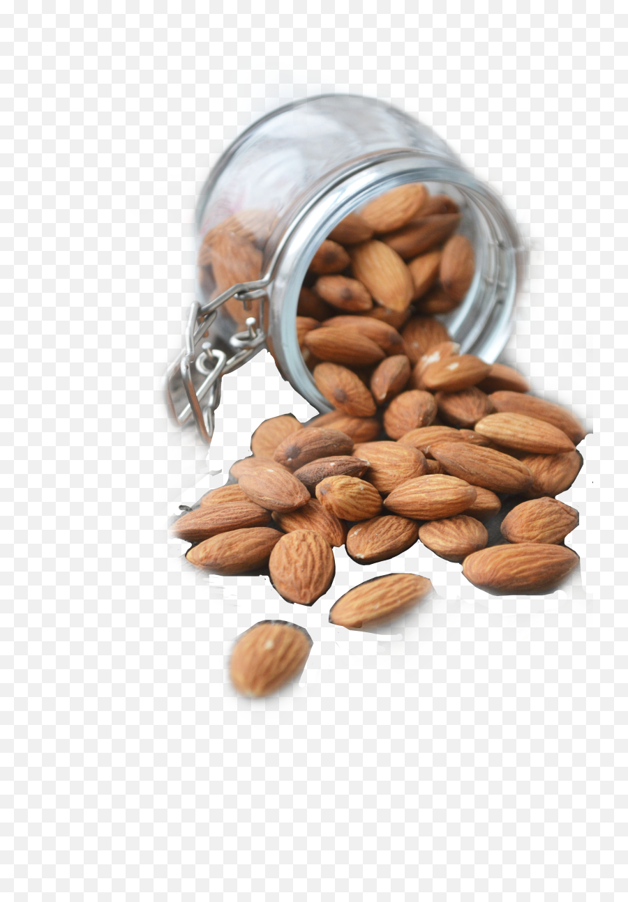 Nuts Sticker - Almond Emoji,Nuts Emoji