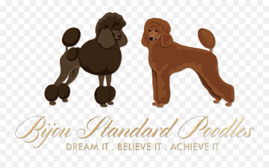 Welcome To Our Red Heads Page - Standard Poodle Emoji,Fire Puppy Emoji