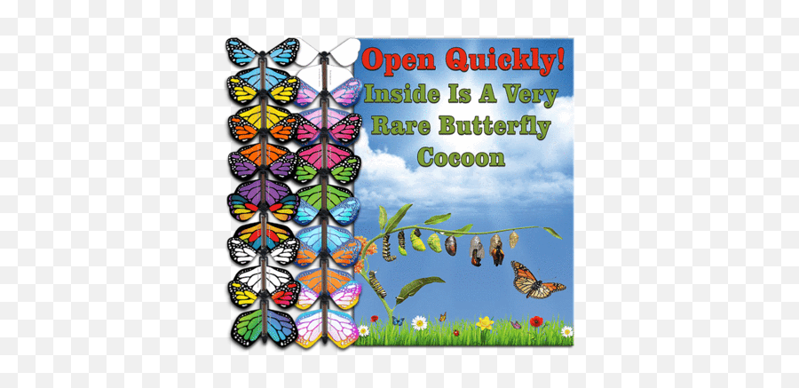 Roller Coaster Card With Flying - Greeting Card Emoji,Free Butterfly Emojis