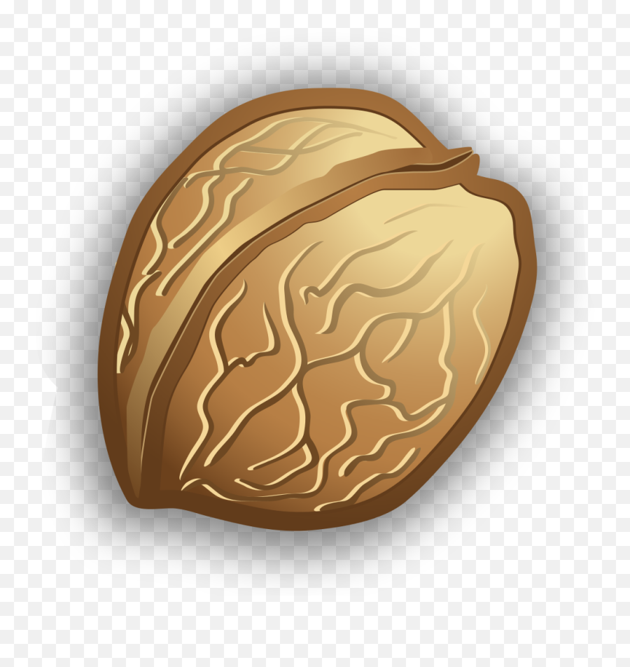 Walnut Nut Nutshell Sticker - Walnut Emoji,Walnut Emoji