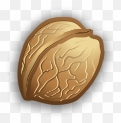 Walnut Nut Nutshell Sticker - Walnut Emoji,Walnut Emoji
