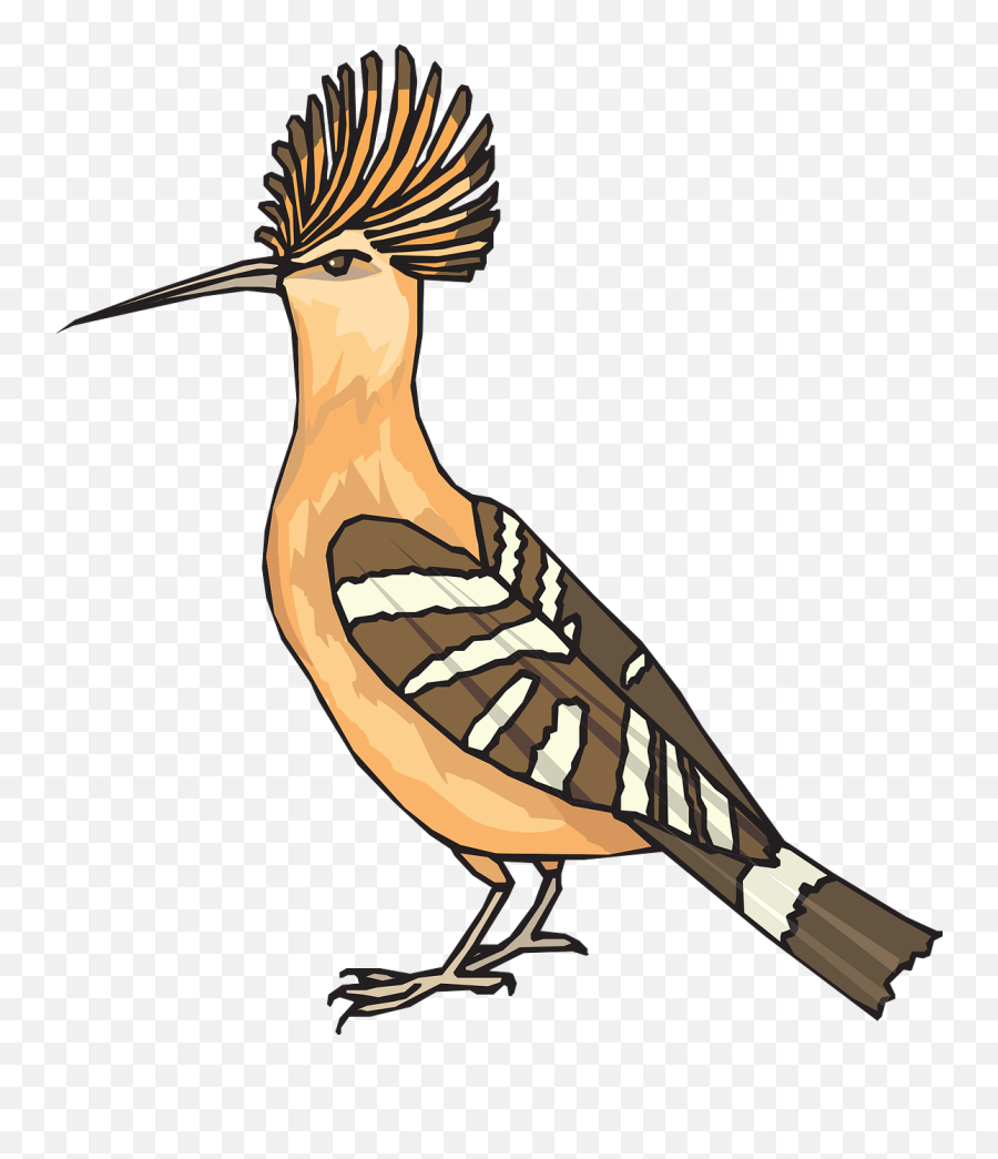 Angry Bird Hoopoe - Free Vector Graphic On Pixabay Hoopoe Bird Gif Animated Emoji,Epos Emotion