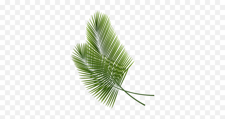 Nicebreak - Unsure Which Event Is Best For Your Team Let Us Tropical Leaves Png Emoji,Palm Tree Cocktail Emoji