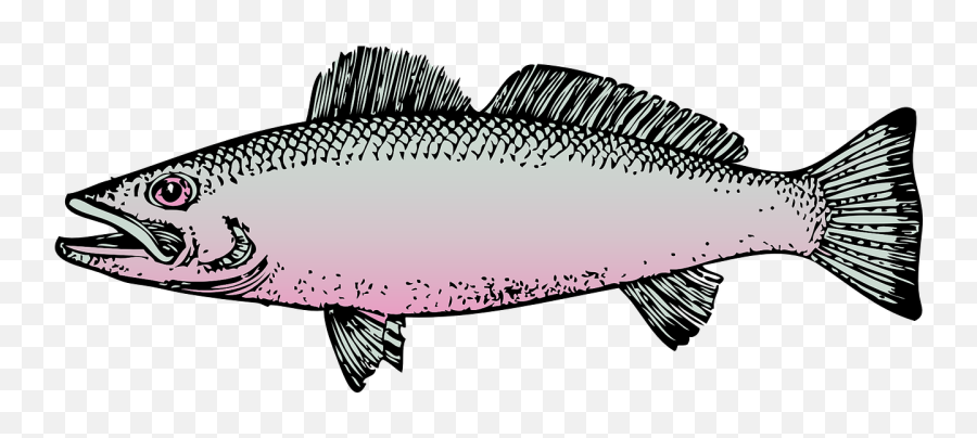 Httpswwwpicpngcomduck - Rubbercutestandingbirdpng Fish Clipart Transparent Background Emoji,Alfred E Neuman Emoticon