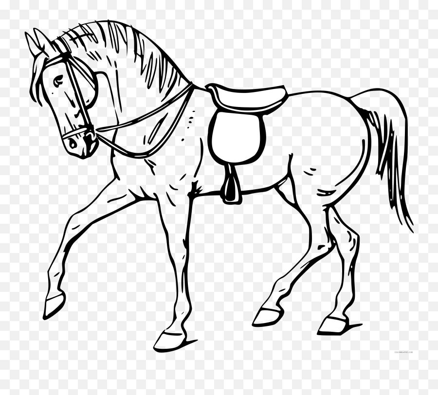 Walking Horse Coloring Pages Warszawianka Walking Horse - Colouring Picture Of Horse Emoji,Flag Horse Lady Music Emoji