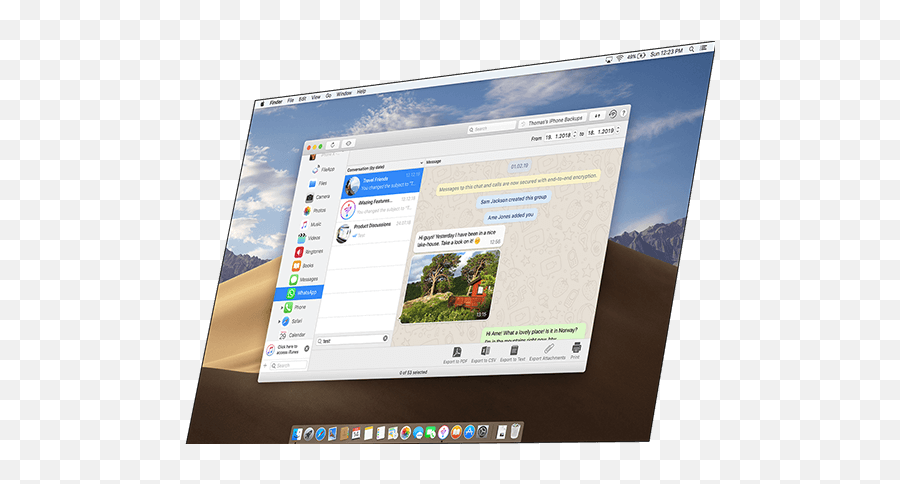 Easily Backup Export Or Print Your Whatsapp Chats Imazing - Technology Applications Emoji,How To Do Emojis On Pc