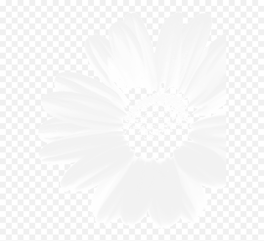 White Flower Scrunchy Accessories Hair Accessories Valresacom Emoji,Flower Emoji For Computer