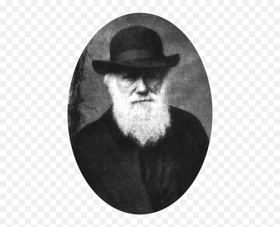 Apologetics Press Emoji,Charles Darwin Emotion Quote