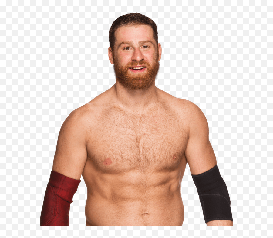 Sami Zayn Smiling Pnglib U2013 Free Png Library Emoji,Sean Spicer Angry Emojis