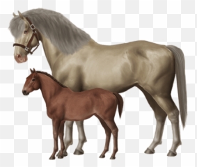 Tída Kniha Rekord Guinessovy Knihy Svtových Rekord Emoji,Hore Emotions