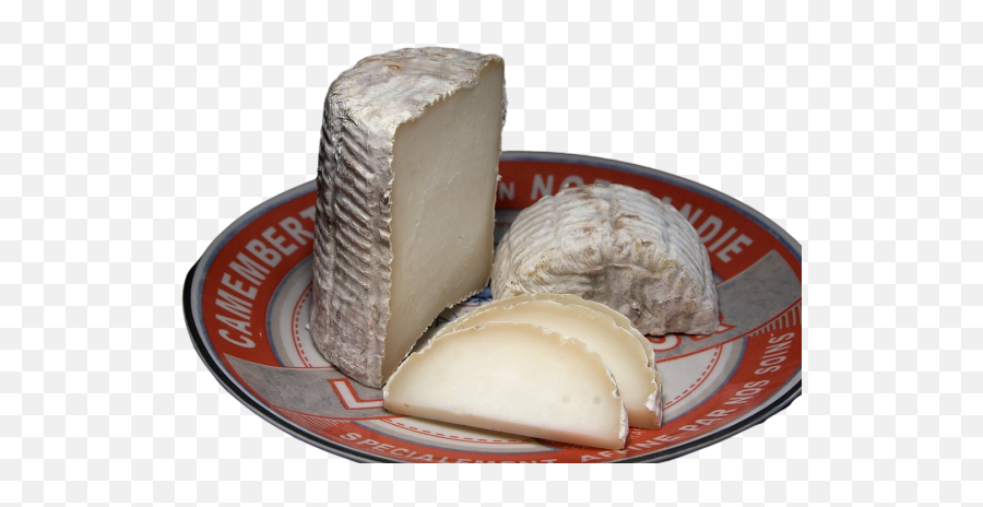 Imágenes Png Wensleydale Descargue La Imagen Transparente Emoji,Alpacka Emoji For Slack Imágenes Png Wensleydale Descargue La Imagen Transparente Emoji,Alpacka Emoji For Slack