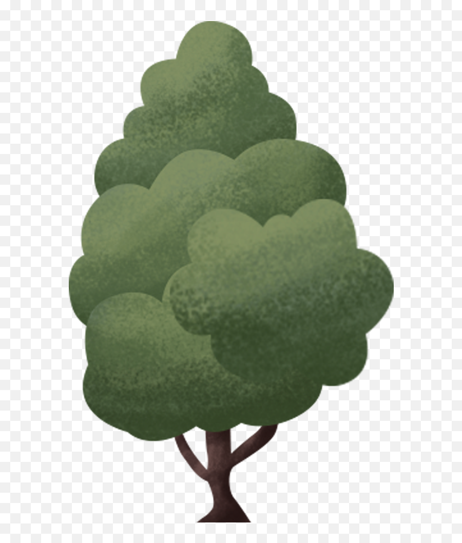 Buncee - My Story Emoji,Evergreen Trees Emoji