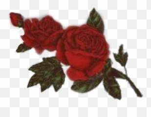 The Most Edited - Floral Emoji,Amber Rose Emoji