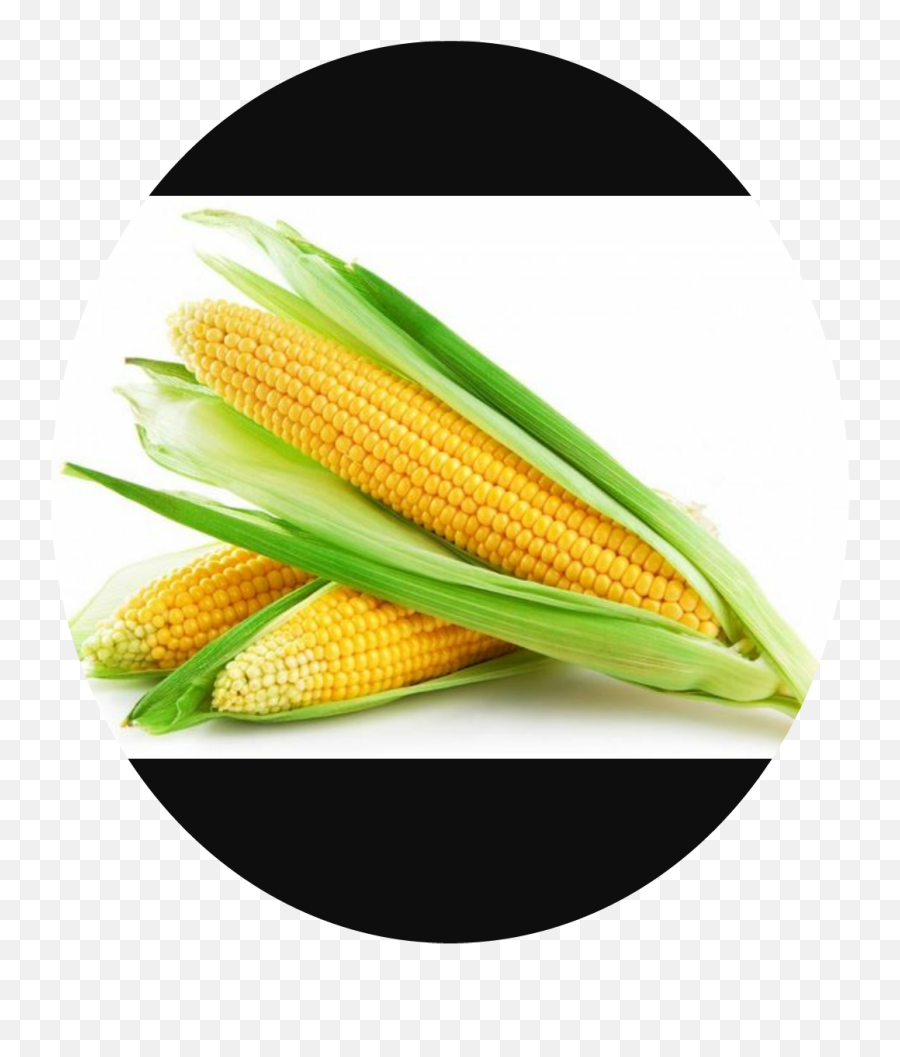 The Most Edited - Corn Cobs Transparency Emoji,Corncob Emoji