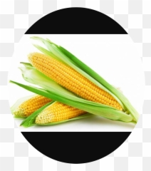 The Most Edited - Corn Cobs Transparency Emoji,Corncob Emoji