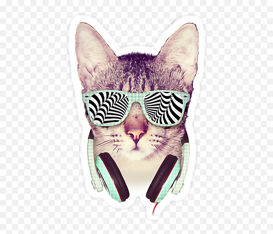 Gato Cat Auriculares Lentes Sticker - Cool Cat Png Emoji,Emoji Lentes