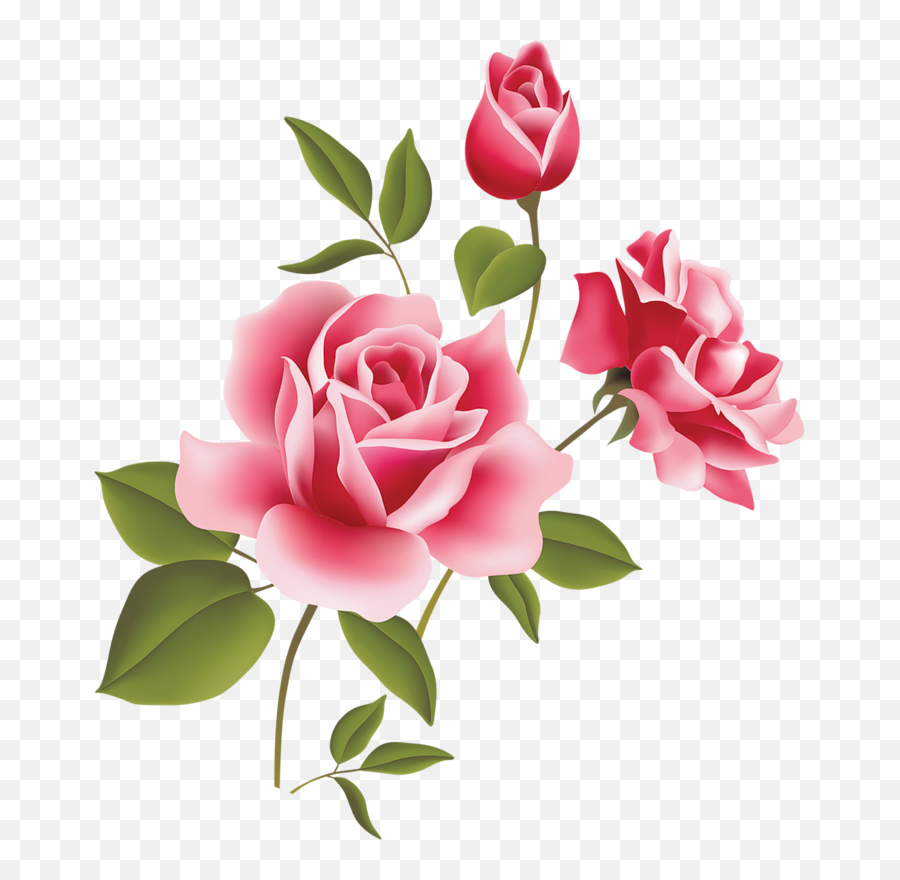 Imagens De Flores E Frutos - Public Domain Free Rose Clipart Emoji,Emoticons De Bebe Fazendo Biquinho