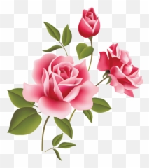 Imagens De Flores E Frutos - Public Domain Free Rose Clipart Emoji,Emoticons De Bebe Fazendo Biquinho