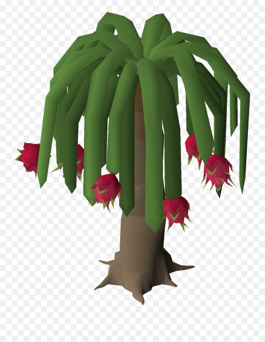 Palm Tree Full Size Png Download Seekpng - Dragonfruit Osrs Emoji,Emojis In Osrs