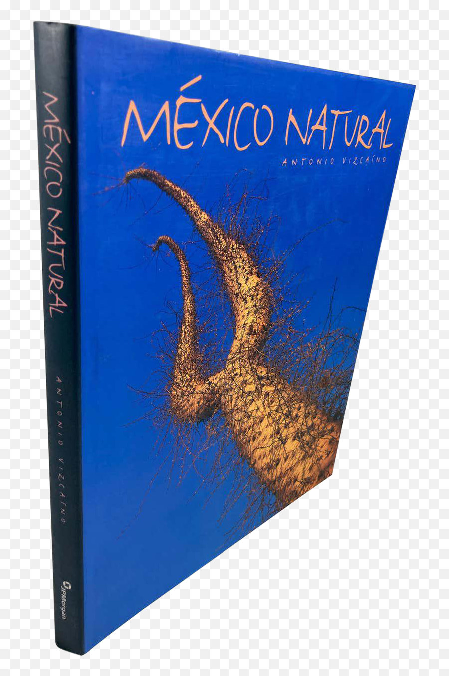 Early 21st Century Mexico Natural - Book Cover Emoji,Emotions Of Color In The Landscape
