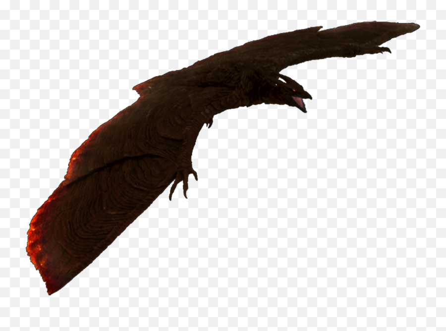 The Most Edited - Godzilla King Of The Monsters Rodan Png Emoji,Camron Emojis