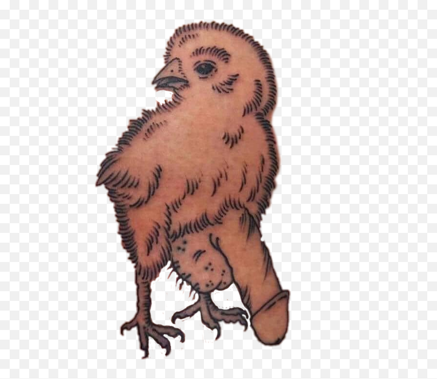 Pollo Grosero Pollito Sticker - Imagenes De Sticker Groseros Emoji,Emojis Grosero