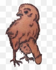 Pollo Grosero Pollito Sticker - Imagenes De Sticker Groseros Emoji,Emojis Grosero