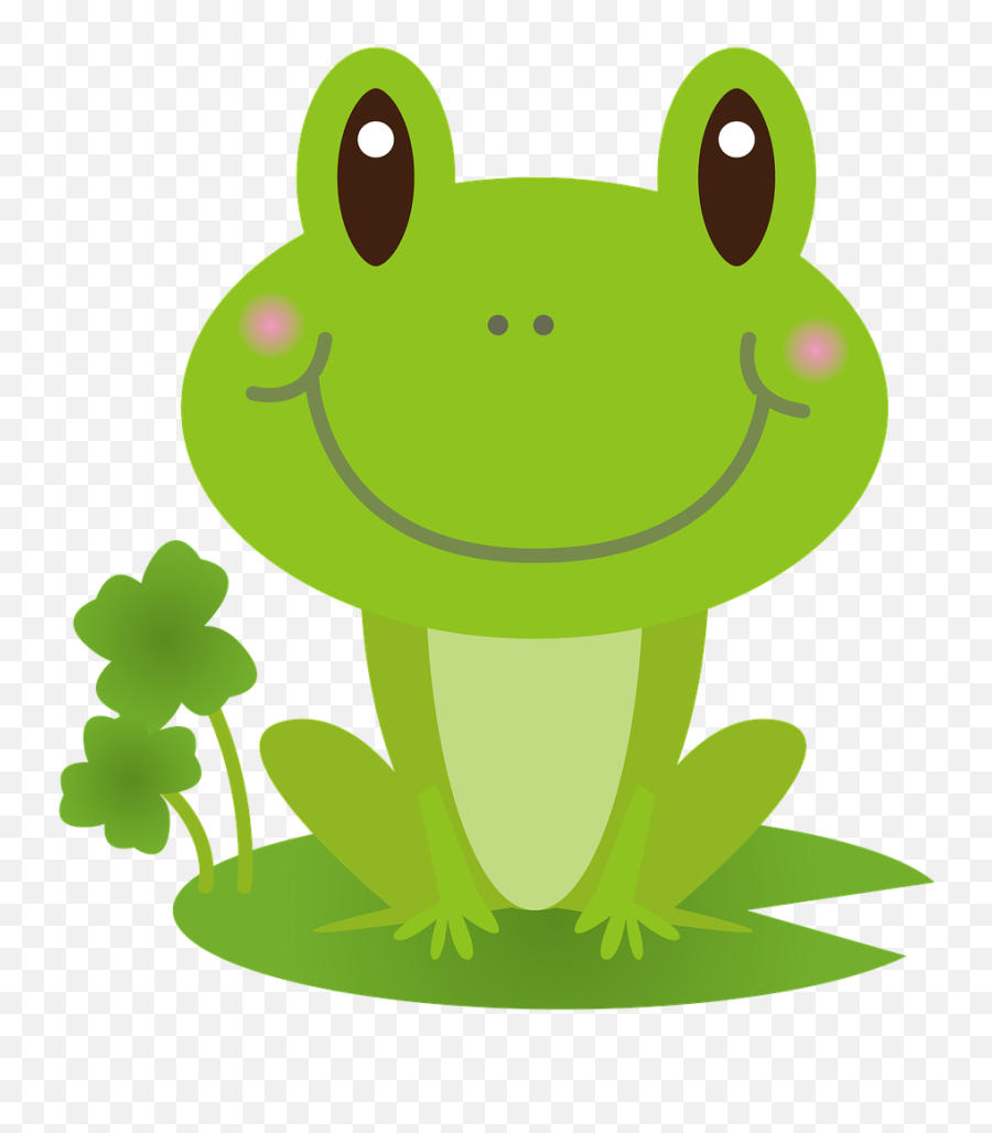 Frog Green Rain - Free Image On Pixabay Gambar Katak Lucu Kartun Emoji,Freog Emoji