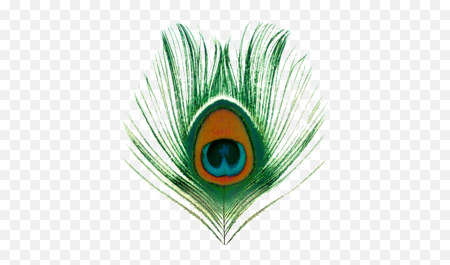 Peacock Feather Images Transparent Png - Peacock Feather Png Emoji,Peacock Feather Ascii Emoticon