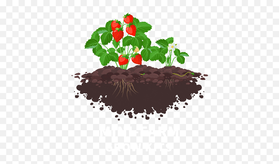 Garden Growing Sticker - Strawberry Plant Emoji,Emoticon For Listless