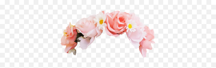 Jewish Emoji - Drone Fest Pink Flower Crown Transparent,Snapchat Emoji